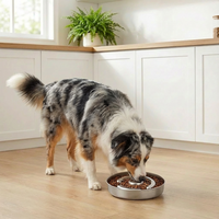 Stainless Steel Pet Slow Feeder